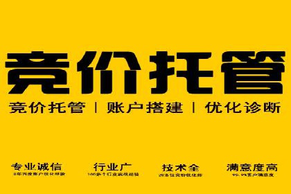 谷歌竞价优化：实战案例分析及策略
